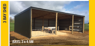 3 bay shed